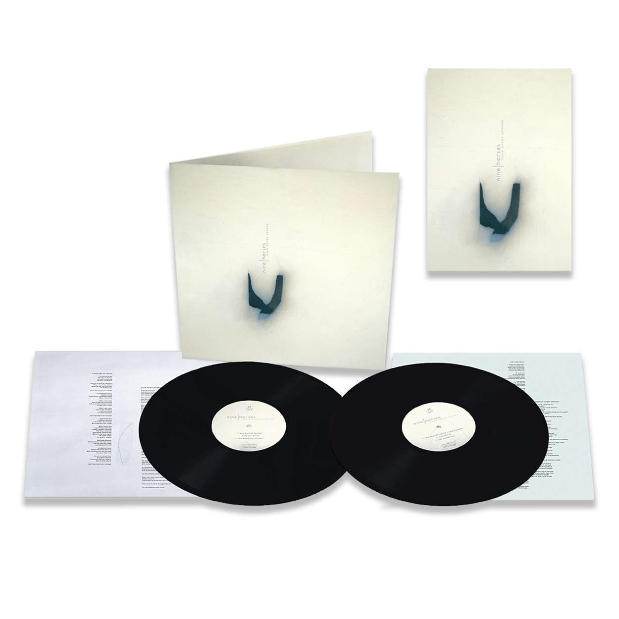 サイン入り‼️ David Sylvian Nine Horses Snow Borne Sorrow: Vinyl 2LP + Nine Horses Print Signed by